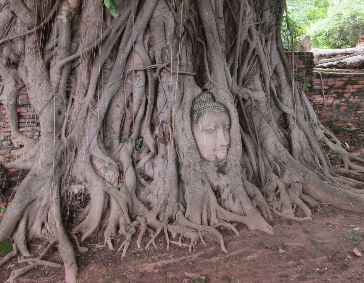 Wat Mahathat 2, Ayutthaya